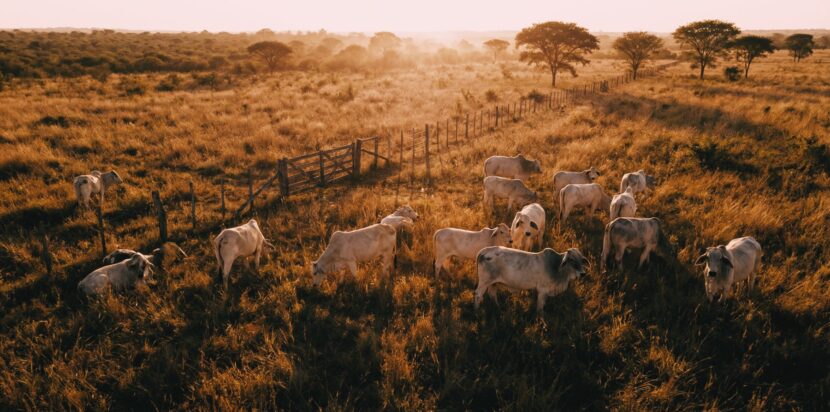 Investitionen Visualisierung