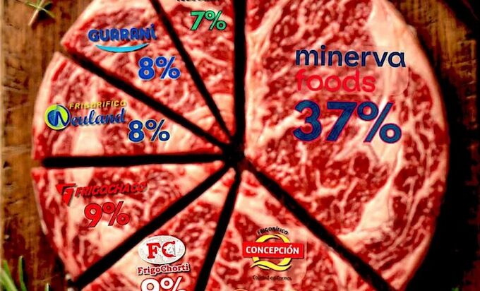 Rindfleisch von Rinderfarmen und deren Anbieter in Paraguay im Jahr 2025